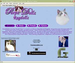 Purpz Dollz RagDollz Cattery